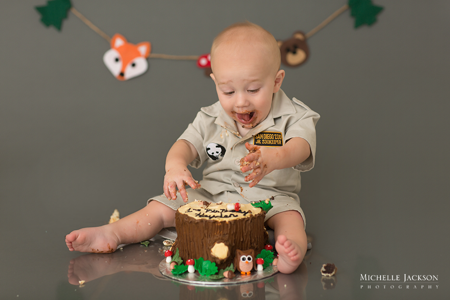 Teddy Bear-Edmonton Cake Smash Photographer - Edmonton Newborn Maternity  Baby Family Photographer